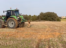 Preparazione del terreno per la coltivazione del pistacchio