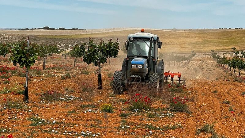 Tracteur effectuant des travaux de préparation du terrain dans une plantation de pistachiers.